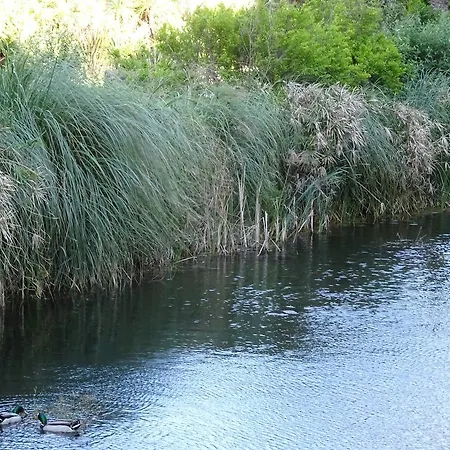 Les Jardins D'azur * Le Brusc